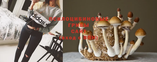 ПСИЛОЦИБИНОВЫЕ ГРИБЫ Елабуга