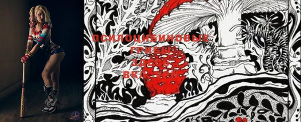 марки lsd Ельня
