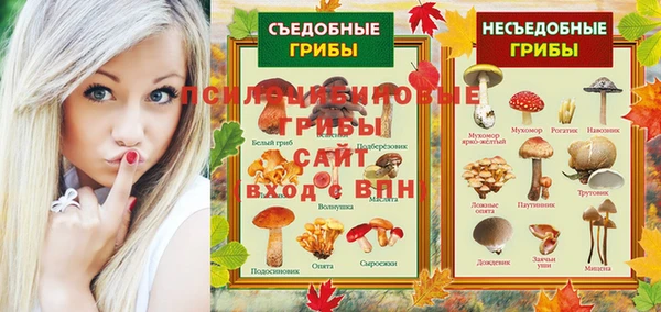 ПСИЛОЦИБИНОВЫЕ ГРИБЫ Елабуга