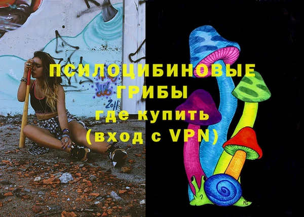 ПСИЛОЦИБИНОВЫЕ ГРИБЫ Елабуга