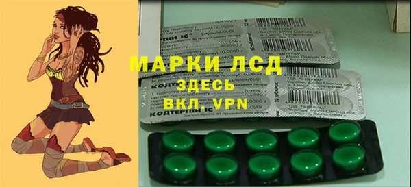 ПСИЛОЦИБИНОВЫЕ ГРИБЫ Елабуга